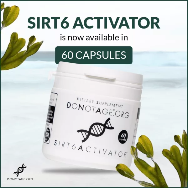 Seetangkapseln von SIRT6Activator® - Natürliche Jugendlichkeit und Gesundheit in einer Flasche.